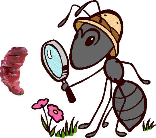 Hiệu ứng kiến lười